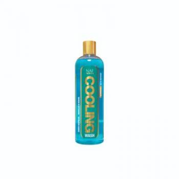 IceShield 500ML
