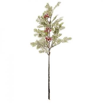 Atmosphera Créateur d'intérieur - Sujet de Noël Étoile Pommes de Pin 18cm Beige