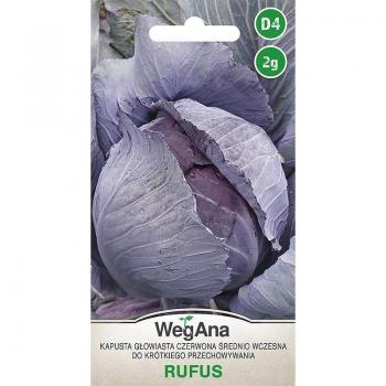 Cavolo rosso medio precoce Rufus 2g semi di cavolo