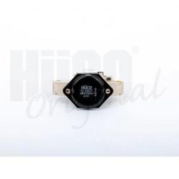 Régulateur d'Alternateur HITACHI 130557 pour Volkswagen Golf et modèles associés