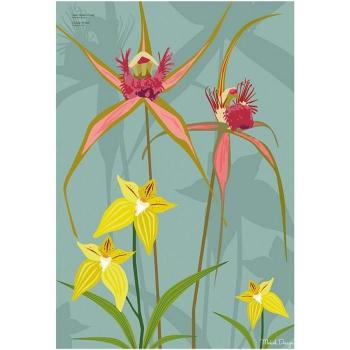 Mokoh Spinnen-Orchideen-Druck 40cm x grün/gelb