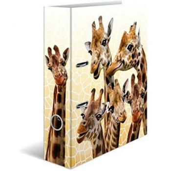 Herma Motivordner Exotische Tiere Giraffe