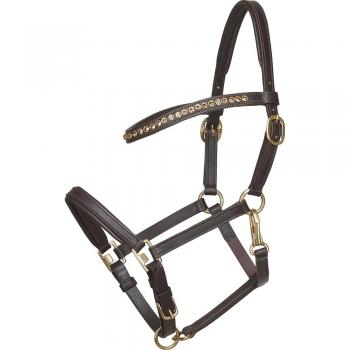 Harnais de poulain Horse Guard marron