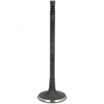 FRECCIA R6916/SNT Einlassventil