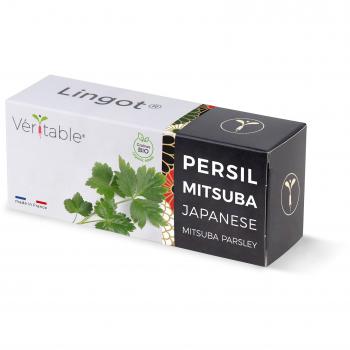 Bio-Japanische Mitsuba-Petersilie – Echter Samenlingot