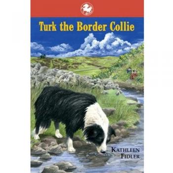 Turk the Border Collie (Kelpies)