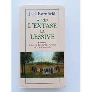 APRES L'EXTASE LA LESSIVE - COMMENT LA SAGESSE DU COEUR SE DEVELOPPE SUR LA VOIE SPIRITUELLE.