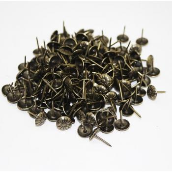 100 Stück Gold Reißnägel, Dekorative Nägel für Tisch und Möbel, Holzwerkzeug 11x16mm