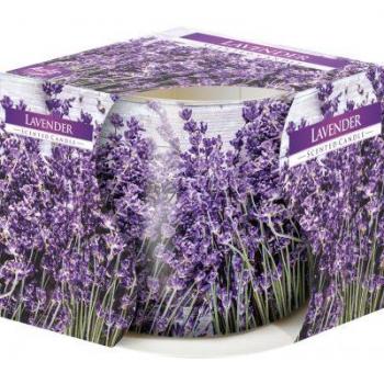 Biscuituri parfumate Bispol Aura – Aromă de lavandă, 100 g