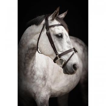 Brown Bridle Lippo X-Full Basic Trainer