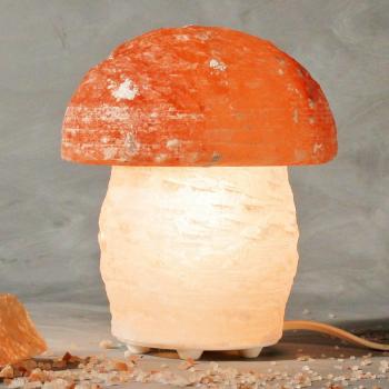 Himalaya Salzleuchte Pilz