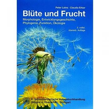 Blüte und Frucht