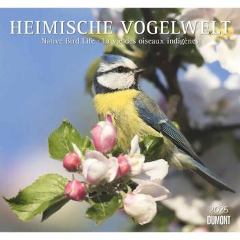 Heimische Vogelwelt 2025 - DUMONT Wandkalender - mit den wichtigsten Feiertagen - Format 380 x 355 cm