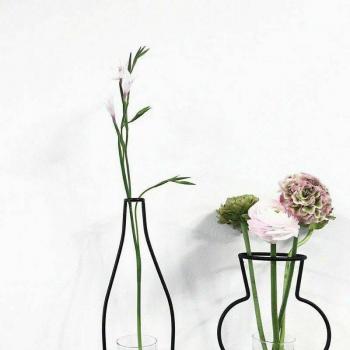 Iron Line Flower Plant Holder