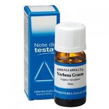 VERBENA Grasse OE 10ml ERM