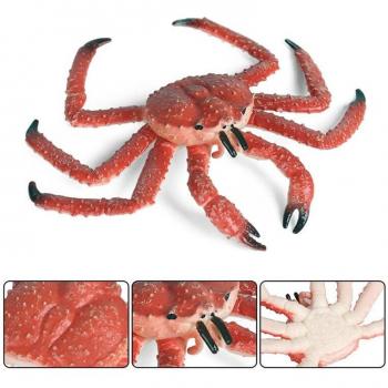 Simulation Hermit Crab Model