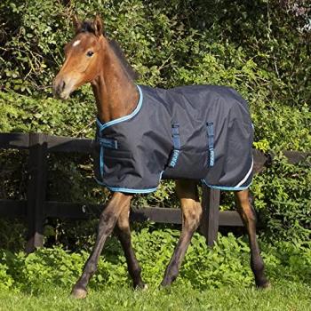 Amigo Foal Navy/Royal Blue 50g Ripstop Rug