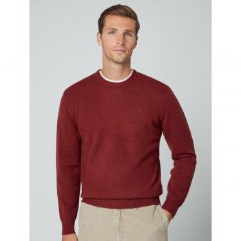 Punto Lambswool Crew Brick Red Hackett
