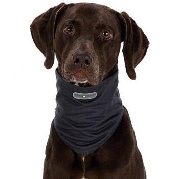 Protezione Insetti Bandana Grigia XS