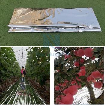 100cm Width Mylar Reflex Film for Greenhouse Plants