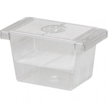 Boîte d'élevage pour poissons