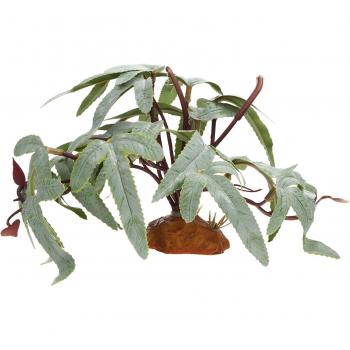 Decoración Verde para Terrarios