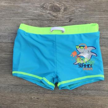 Quick-Dry Cartoon Beach Shorts for Kids
