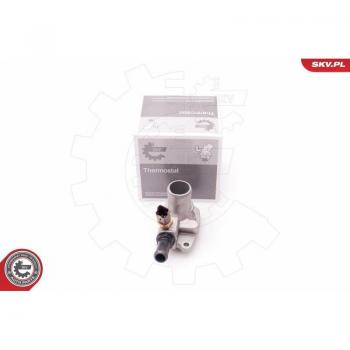 Motore Termostato ESEN 20SKV076
