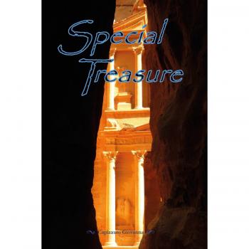 Special Treasure