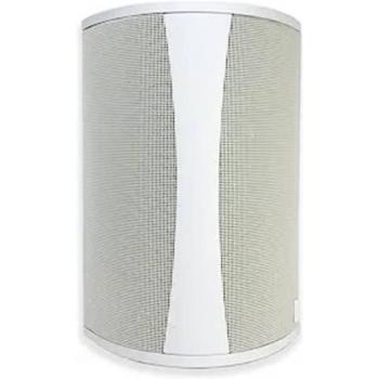 Definitive Technology AW5500 Outdoor Speaker
