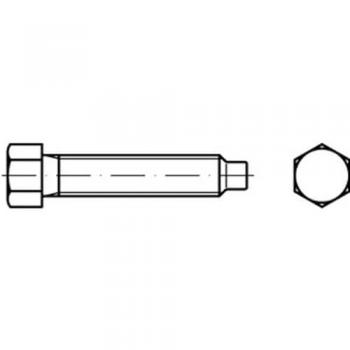 Vis Hexagonale M.Zapfen 20mm DIN 561