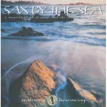 Saxophon Melodien am Strand