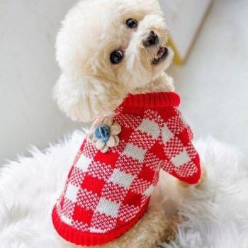 Warm Knitted Sweater for Small Dogs