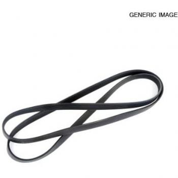 DAYCO Cinghia Poly-V 6PK1815S