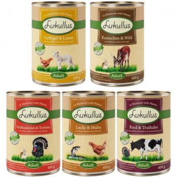 Lukullus 24 x 400 g - Pack Ahorro - Pack mixto IV