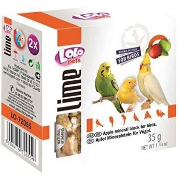 Vogel Pickstein Apfel – 2 Stück (Lolo Pets)