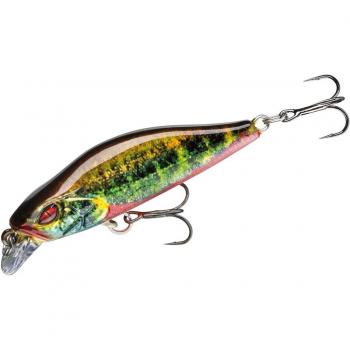 Poisson Nageur Daiwa Prorex Flat Minnow 50SS – Coloris Daiwa – Érythrin Vivant