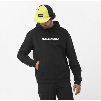 Sudadera con capucha Salomon Logo Performance negro - S