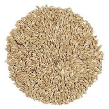 Graines de canari Bedar 60 g