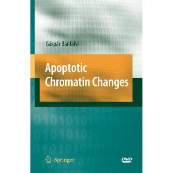 Apoptotic Chromatin Changes