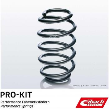 EIBACH F11-65-019-04-VA Resorte de suspensión