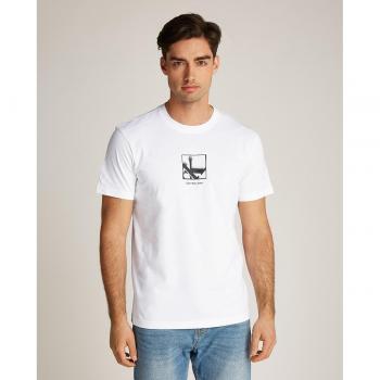 T-shirt męski Calvin Klein Jeans z nadrukiem logo model 'GRID BOX'
