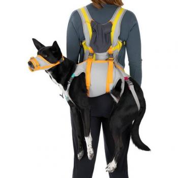 Ruffwear Notfallhundeshirt BackTrak Cloudburst Grau