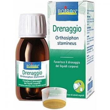 Bo.orthosiphon ei 60ml