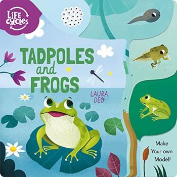 Tadpoles and Frogs : Make Your Own Model!