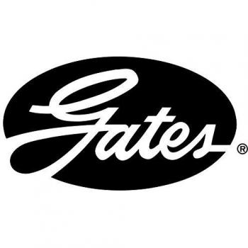 GATES Kit cinghie Poly-V FIAT, PEUGEOT, CITROËN 6PK1750