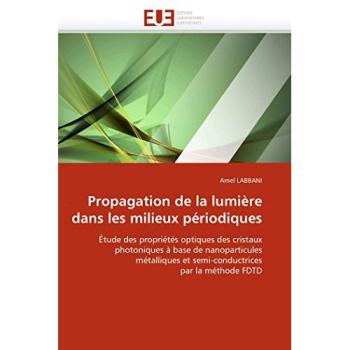 Propagation de la lumière dans les milieux périodiques: Étude des propriétés optiques des cristaux photoniques à base de nanoparticules métalliques et ... par la méthode FDTD