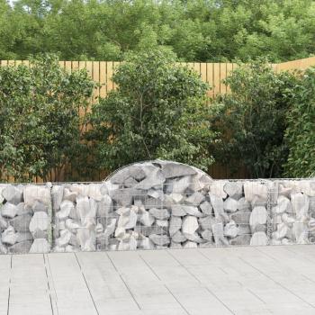VIDAXL Cesti Gabbioni Ad Arco 40 Pz 200x30x60/80 Cm Ferro Zincato