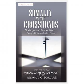 Somalia at the Crossroads: Challenges and Perspectives in Reconstituting a Failed State (Hb) (African Renaissance)