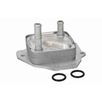 ACKOJA Radiatore Olio Motore A70‑60‑0025